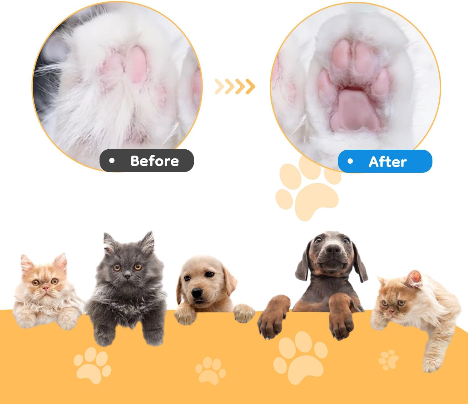 Low-Noise LED Clippers for Dogs & Cats